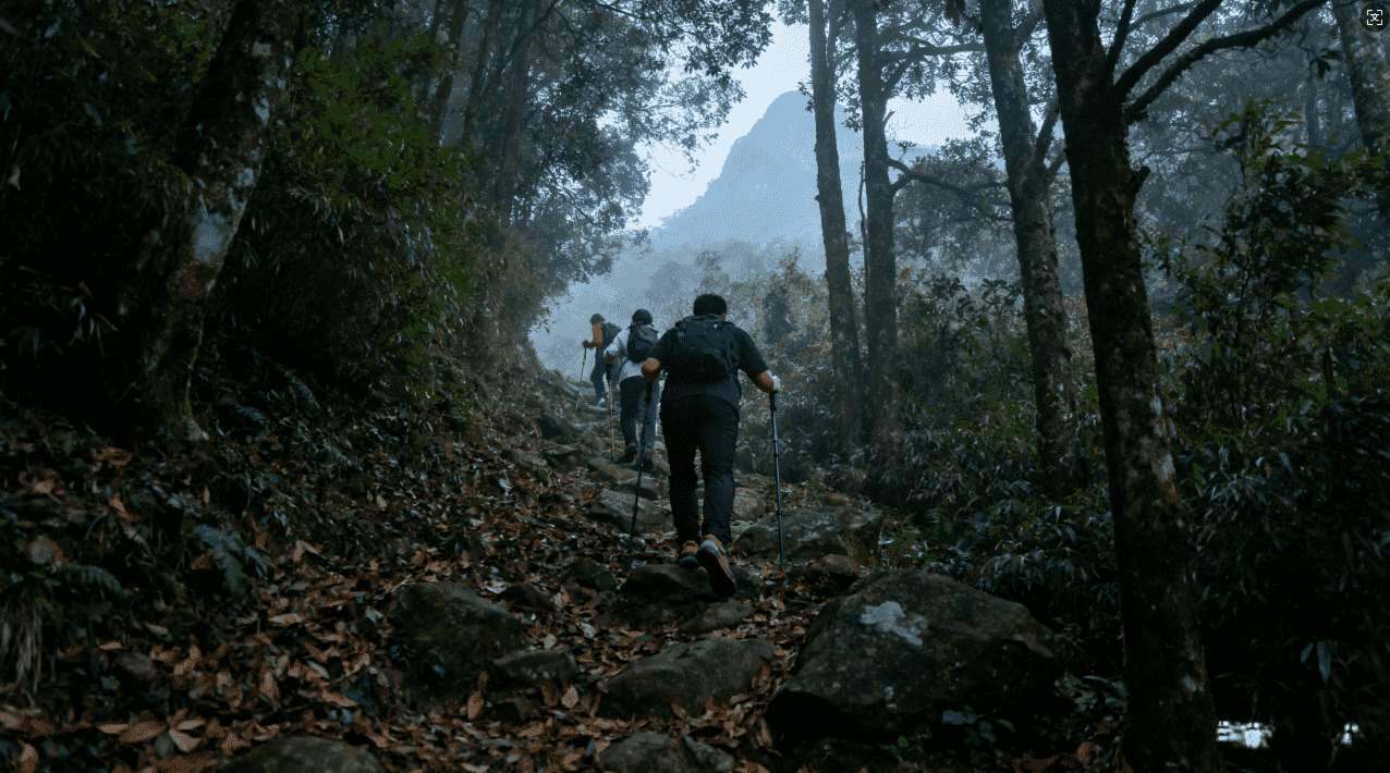 老版天行加速器全面解析与详细安装使用指南